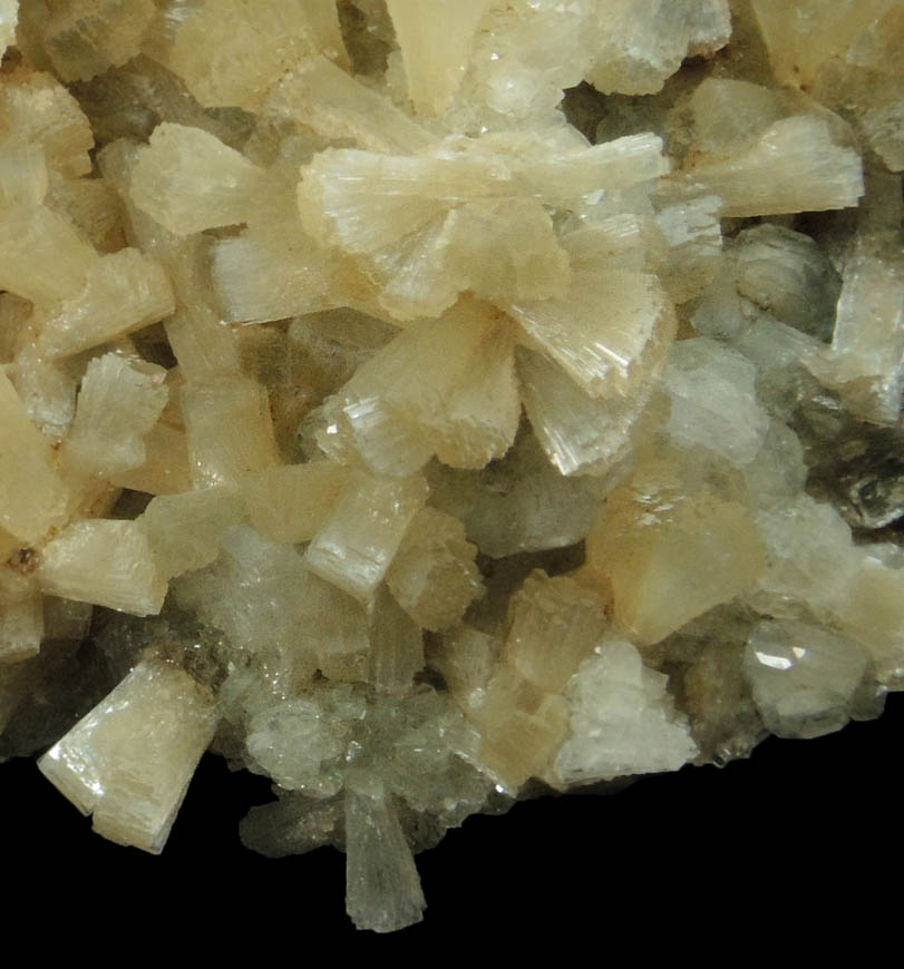Stilbite with Chlorite-included Apophyllite from Millington Quarry, Bernards Township, Somerset County, New Jersey