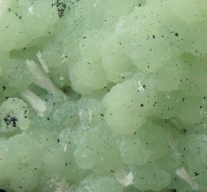 Prehnite pseudomorphs after Anhydrite with Laumontite from New Street Quarry, Paterson, Passaic County, New Jersey