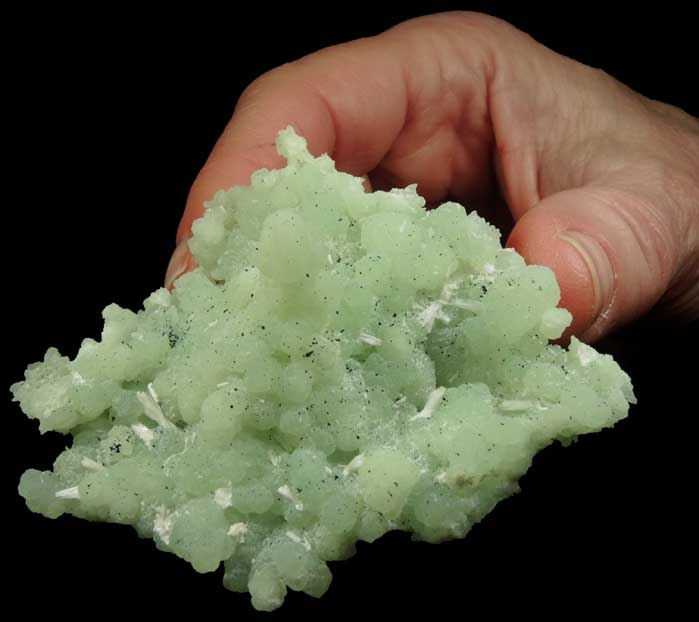 Prehnite pseudomorphs after Anhydrite with Laumontite from New Street Quarry, Paterson, Passaic County, New Jersey