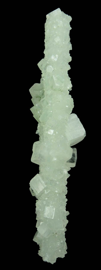 Apophyllite on Prehnite pseudomorphs after Laumontite from Mumbai District, Maharashtra, India