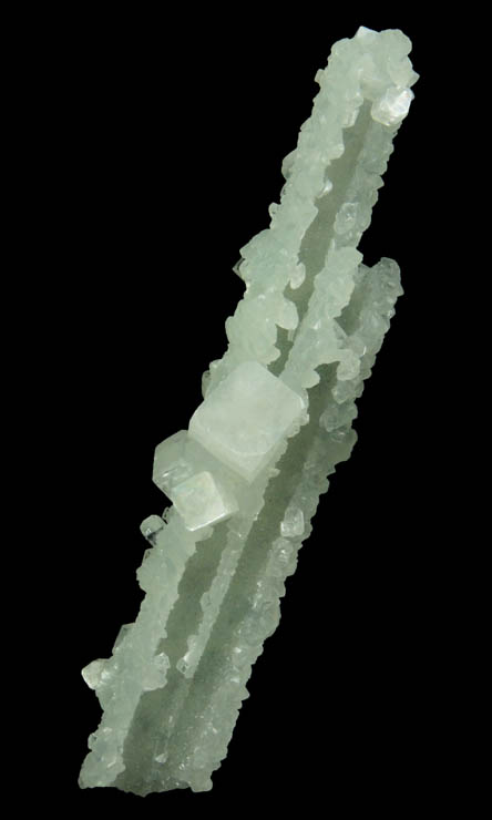 Apophyllite on Prehnite pseudomorphs after Laumontite from Mumbai District, Maharashtra, India