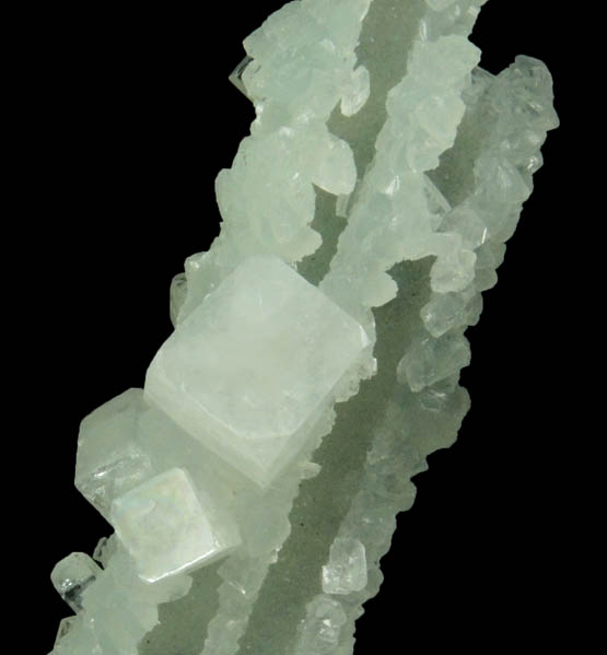 Apophyllite on Prehnite pseudomorphs after Laumontite from Mumbai District, Maharashtra, India