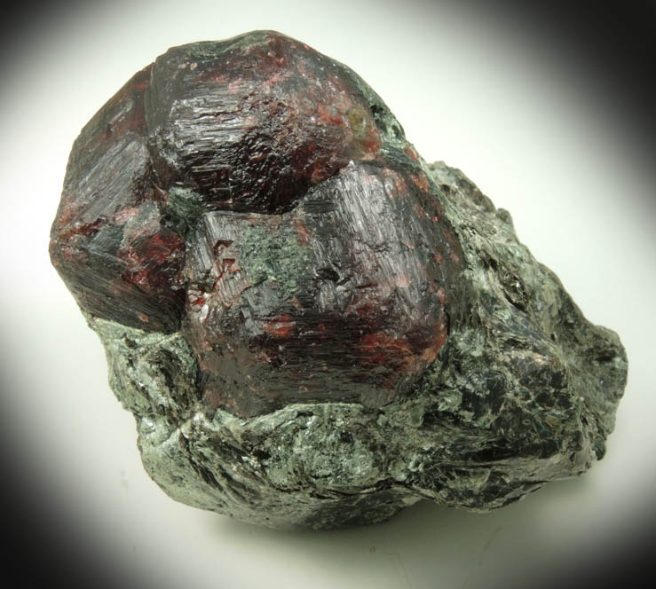 Almandine Garnets in Biotite schist from River Valley, Dana Township, Sudbury District, Ontario, Canada