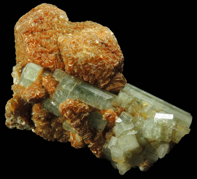 Fluorapatite and Muscovite on Carlsbad Law-twinned Orthoclase from Cornwall, England