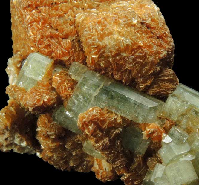 Fluorapatite and Muscovite on Carlsbad Law-twinned Orthoclase from Cornwall, England