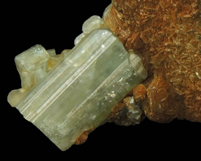 Fluorapatite and Muscovite on Carlsbad Law-twinned Orthoclase from Cornwall, England