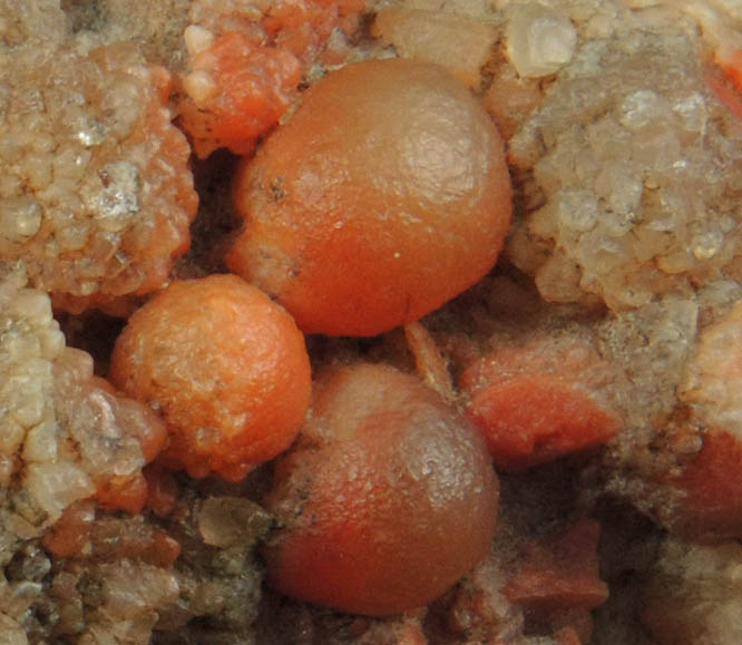 Quartz var. Chalcedony (Grape Agate) from Green River, Emery County, Utah