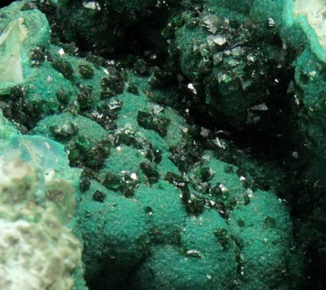 Malachite on Chrysocolla from L'Etoile du Congo Mine, Lubumbashi, Katanga Copperbelt, Haut-Katanga Province, Democratic Republic of the Congo