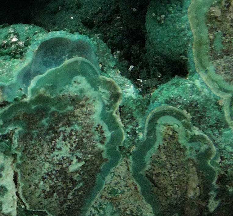 Malachite on Chrysocolla from L'Etoile du Congo Mine, Lubumbashi, Katanga Copperbelt, Haut-Katanga Province, Democratic Republic of the Congo