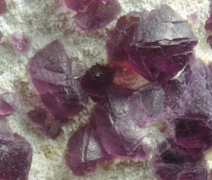 Fluorite on Quartz from Judith Lynn Claim, Pine Canyon, Grant County, New Mexico