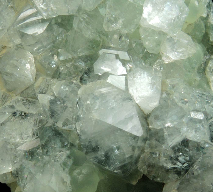 Apophyllite on Prehnite from Millington Quarry, Bernards Township, Somerset County, New Jersey