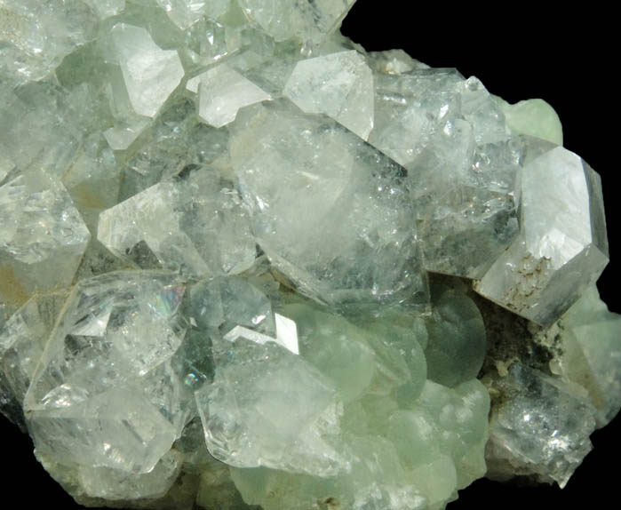 Apophyllite on Prehnite from Millington Quarry, Bernards Township, Somerset County, New Jersey