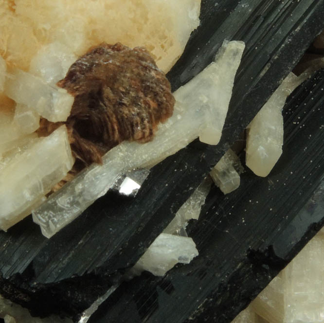 Analcime, Natrolite, Aegirine, Rhodochrosite from Poudrette Quarry, Mont Saint-Hilaire, Qubec, Canada