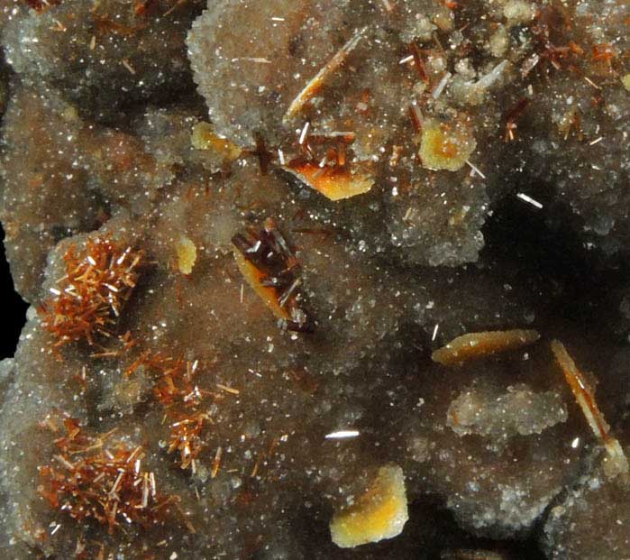 Descloizite on Wulfenite with Quartz coating from Finch Mine, north of Hayden, Banner District, Gila County, Arizona