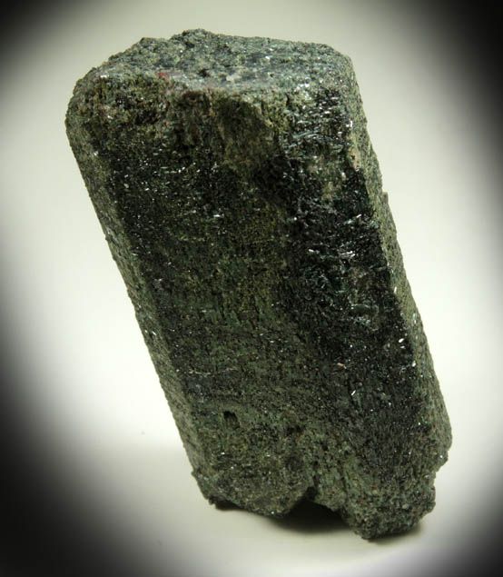 Hornblende with Actinolite-Tremolite from Bear Lake, near Tory Hill, Bancroft District, Ontario, Canada