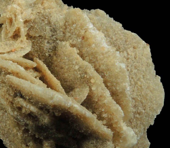 Gypsum with sand inclusions from Dhahran, Mintaqah Ash Sharqiyah, Saudi Arabia