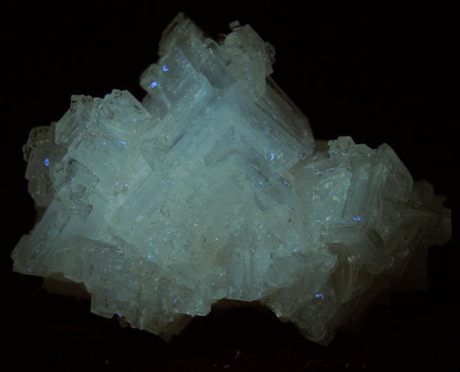 Halite from Searles Lake, east of Trona, San Bernardino County, California