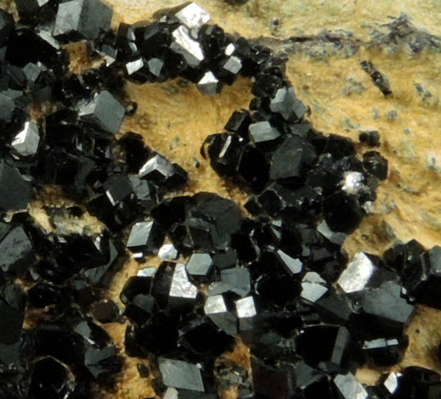 Andradite var. Melanite from New Idria District, San Benito County, California