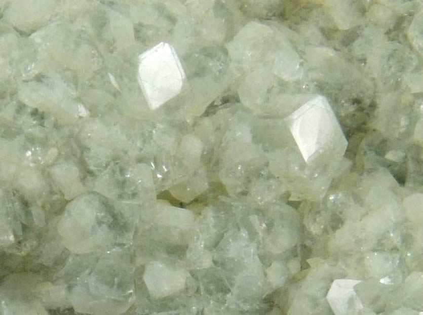 Apophyllite on Prehnite from Millington Quarry, Bernards Township, Somerset County, New Jersey