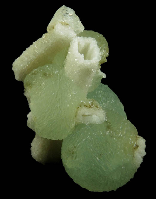 Prehnite with Quartz pseudomorphs after Glauberite from Upper New Street Quarry, Paterson, Passaic County, New Jersey