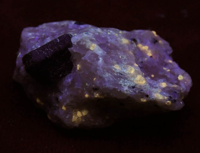 Lazurite var. Lapis Lazuli in marble from Sar-e-Sang, Kokscha Valley, Badakshan, Afghanistan (Type Locality for Lazurite)