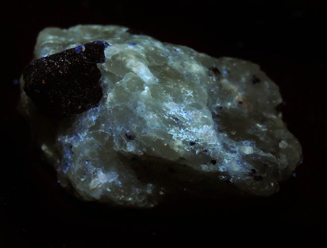 Lazurite var. Lapis Lazuli in marble from Sar-e-Sang, Kokscha Valley, Badakshan, Afghanistan (Type Locality for Lazurite)