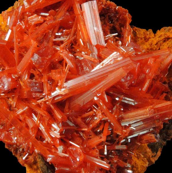 Crocoite from Red Lead Mine, Dundas, Tasmania, Australia