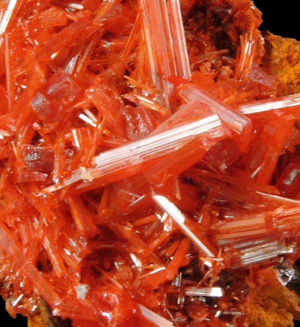 Crocoite from Red Lead Mine, Dundas, Tasmania, Australia