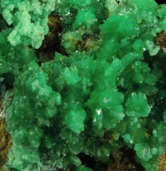 Annabergite from Kamareza Mine, Lavrion (Laurium) Mining District, Attica Peninsula, Greece