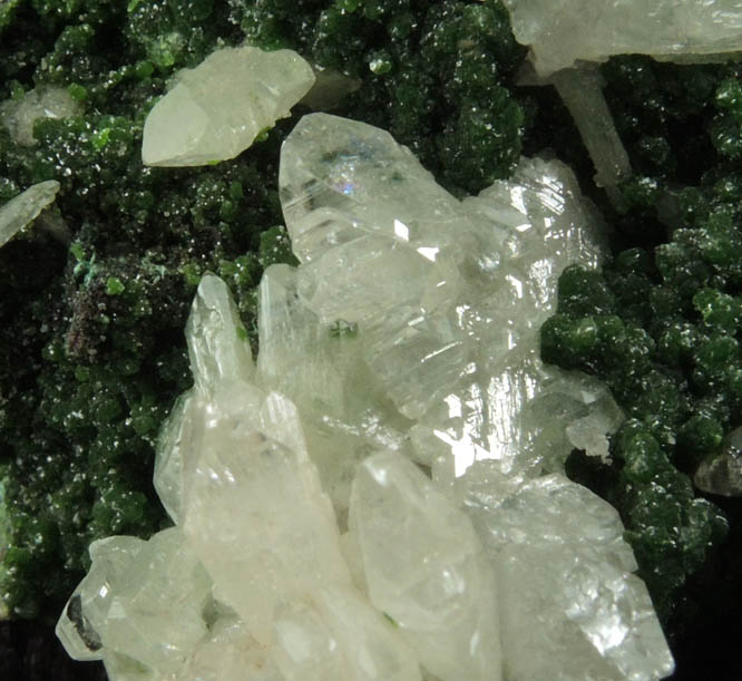 Cerussite on Mottramite from Tsumeb Mine, Otavi-Bergland District, Oshikoto, Namibia