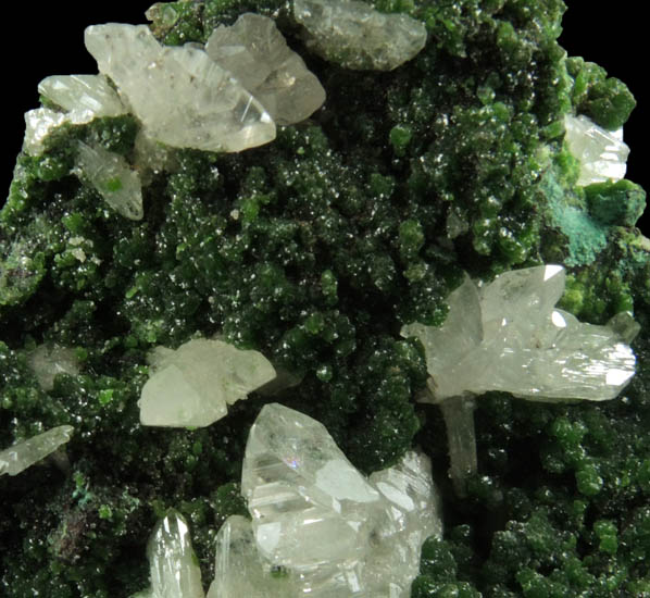 Cerussite on Mottramite from Tsumeb Mine, Otavi-Bergland District, Oshikoto, Namibia