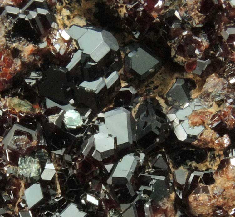 Grossular Garnet with Clinochlore from Valle della Gava, Voltri, Genova, Liguria, Italy