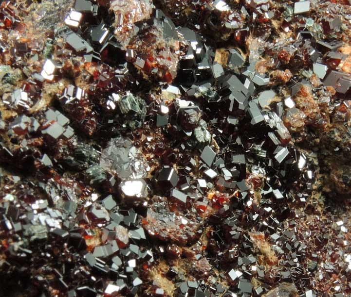 Grossular Garnet with Clinochlore from Valle della Gava, Voltri, Genova, Liguria, Italy