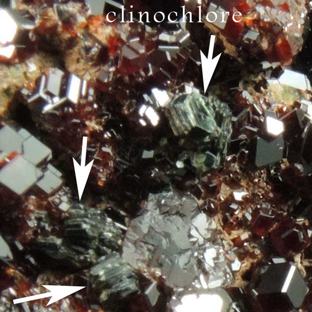 Grossular Garnet with Clinochlore from Valle della Gava, Voltri, Genova, Liguria, Italy