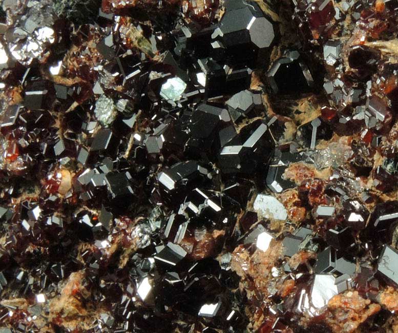 Grossular Garnet with Clinochlore from Valle della Gava, Voltri, Genova, Liguria, Italy