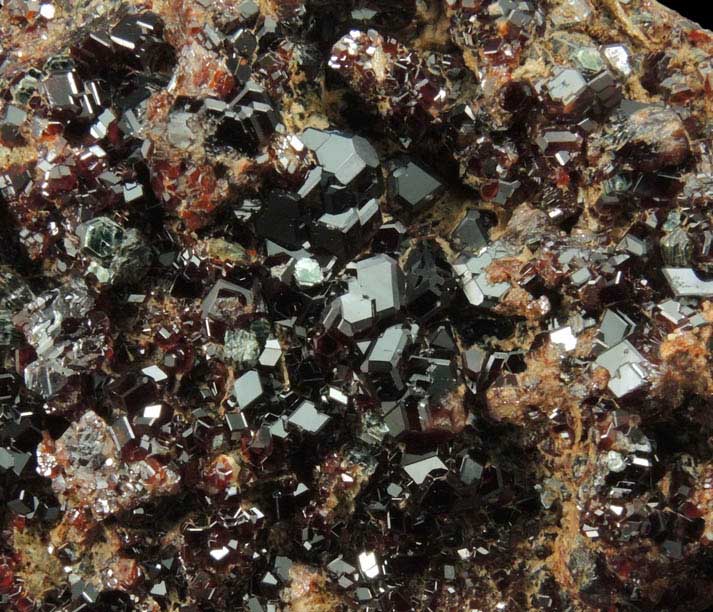 Grossular Garnet with Clinochlore from Valle della Gava, Voltri, Genova, Liguria, Italy