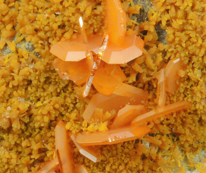 Wulfenite on Mimetite from Mina Ojuela, Mapimi, Durango, Mexico