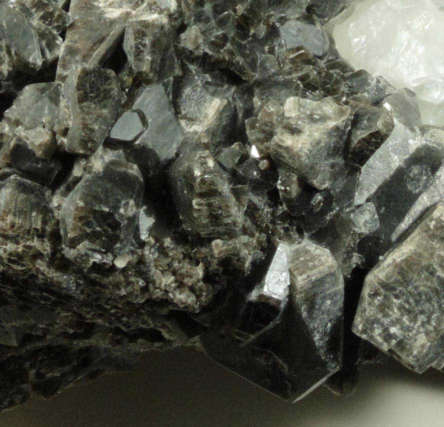 Hornblende-Pargasite in marble from Lime Crest Quarry (Limecrest), Sussex Mills, 4.5 km northwest of Sparta, Sussex County, New Jersey