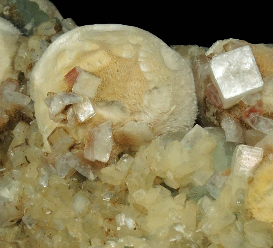 Apophyllite, Pectolite, Heulandite, Prehnite from Prospect Park Quarry, Prospect Park, Passaic County, New Jersey