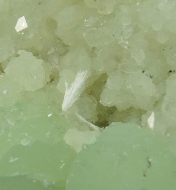 Prehnite, Datolite, Pectolite from Upper New Street Quarry, Paterson, Passaic County, New Jersey