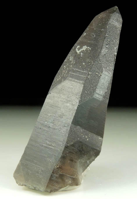 Quartz var. Smoky Quartz (Dauphin Law Twinned) from Lake George District, Park County, Colorado