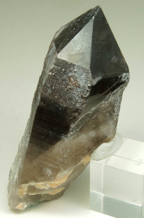 Quartz var. Smoky Quartz from Mile Hi Rock and Mineral Society (RAMS) Claim, Lake George District, Park County, Colorado