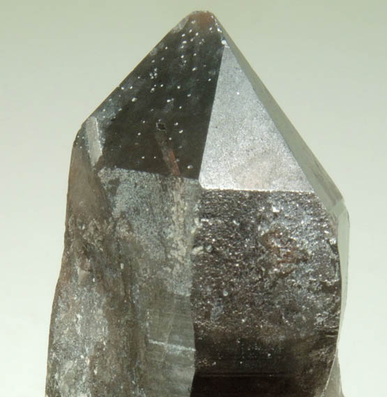 Quartz var. Smoky Quartz from Mile Hi Rock and Mineral Society (RAMS) Claim, Lake George District, Park County, Colorado