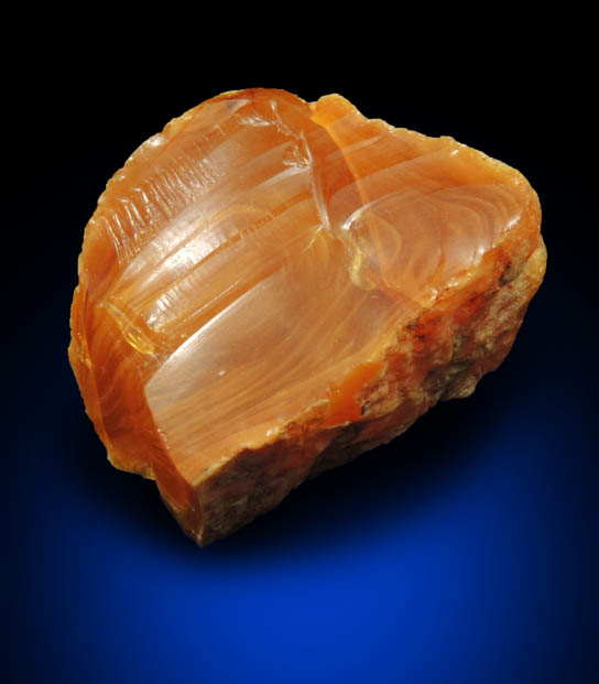 Amber - Cretaceous Fossilized Tree Resin from Sayreville Clay Pits, northwest of Kennedy Park, Sayreville, Middlesex County, New Jersey