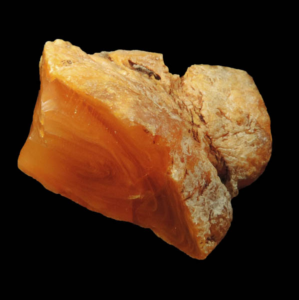 Amber - Cretaceous Fossilized Tree Resin from Sayreville Clay Pits, northwest of Kennedy Park, Sayreville, Middlesex County, New Jersey