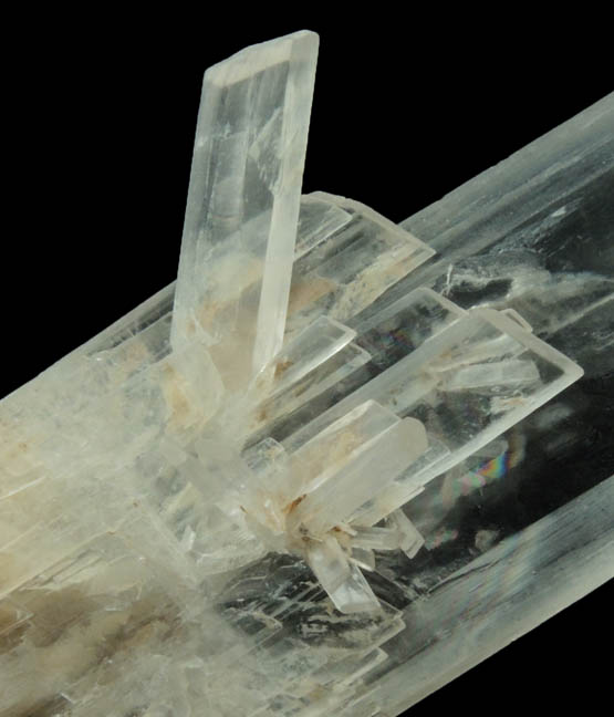 Gypsum var. Selenite from Angrevilliers, 37 km southwest of Paris, Essonne, France