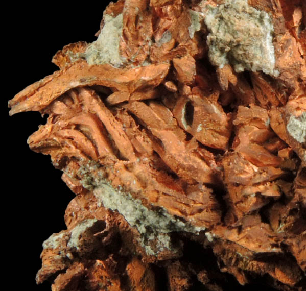 Copper (naturally crystallized native copper) from Osceola Mine, Keweenaw Peninsula Copper District, Houghton County, Michigan