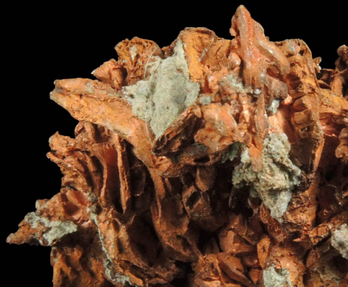 Copper (naturally crystallized native copper) from Osceola Mine, Keweenaw Peninsula Copper District, Houghton County, Michigan