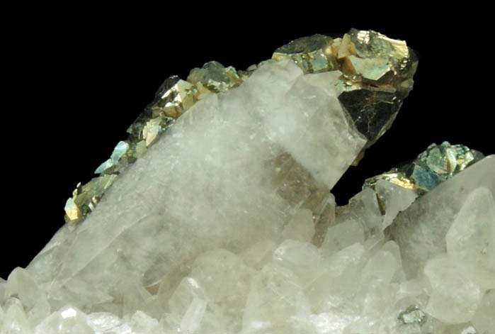 Pyrite on Calcite from Pint's Quarry, Raymond, Black Hawk County, Iowa