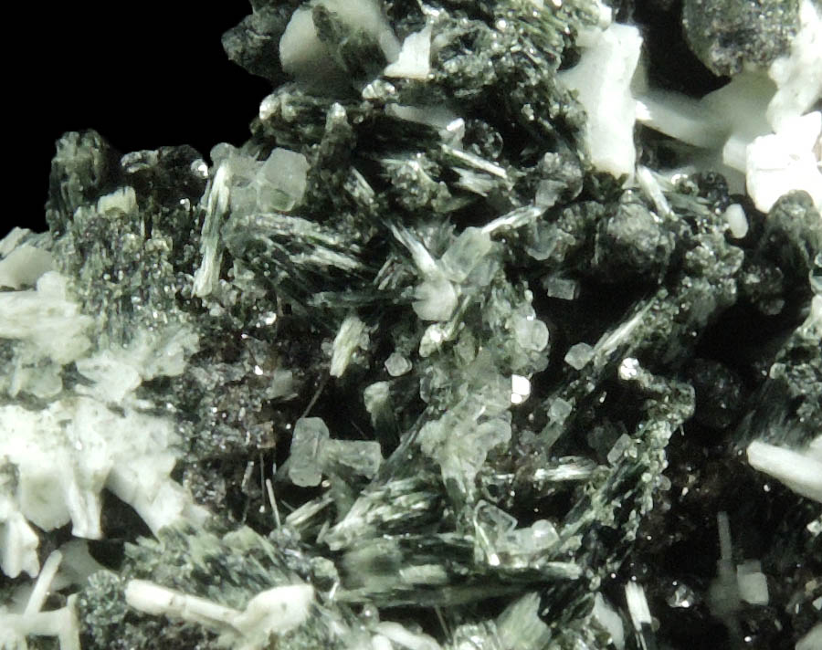 Albite, Actinolite, Apophyllite, Clinochlore, Titanite and Apatite from Route 4 road cut west of George Washington Bridge, Fort Lee, Bergen County, New Jersey